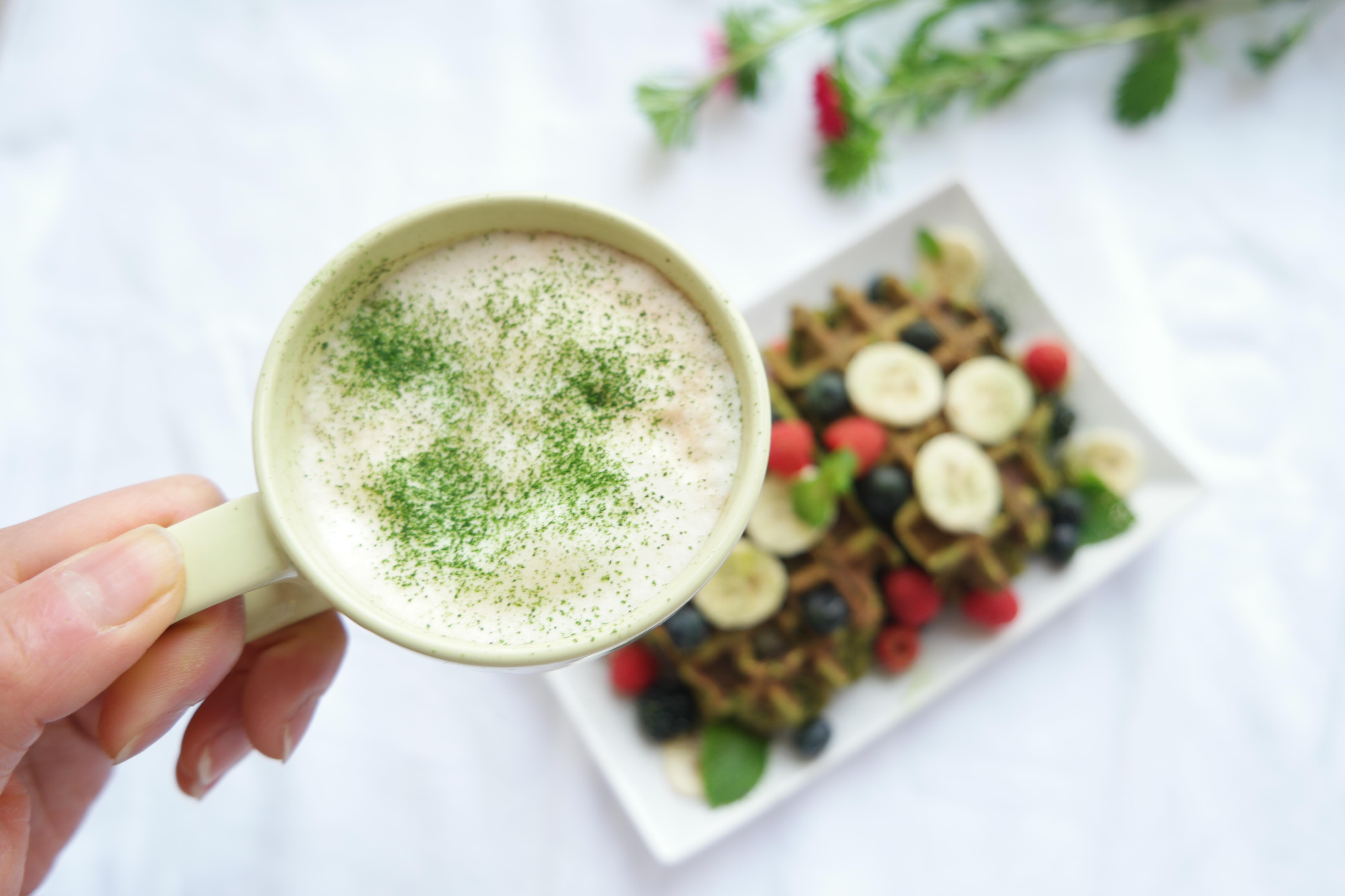 All about Matcha – the magical green tea powder